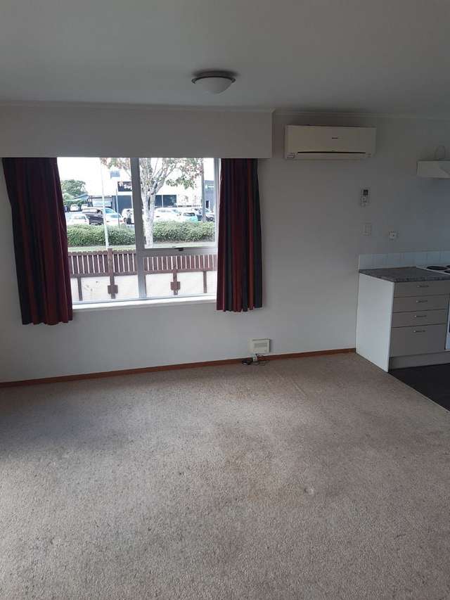 67A Hyde Avenue Nawton_3