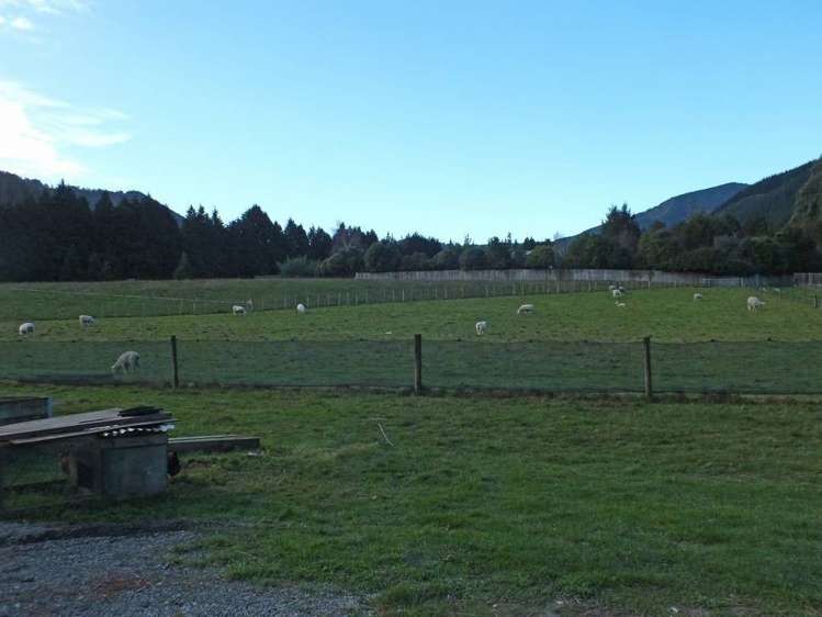 756 Wakamarina Road Havelock_3