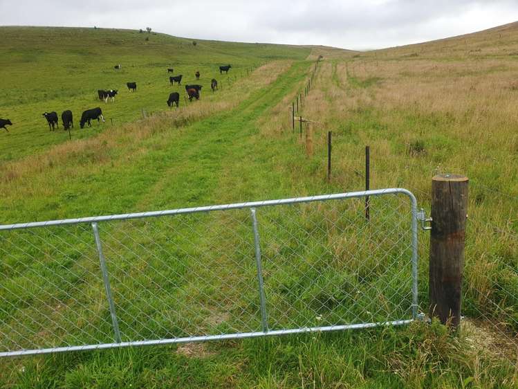 Lot 2 Cricklewood Rise Grants Road Kurow_15