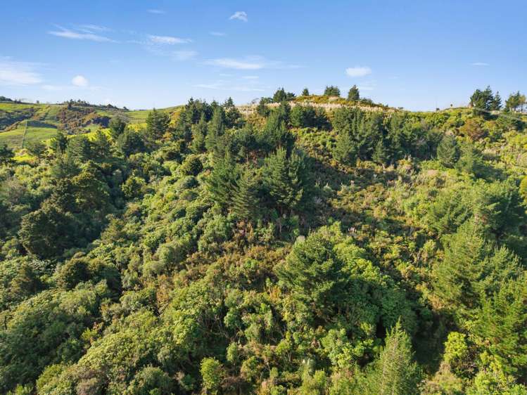 3044 Paparoa Oakleigh Road Paparoa_5