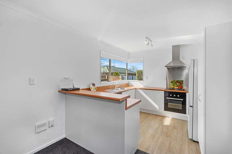 6 Riegler Place Belfast_1