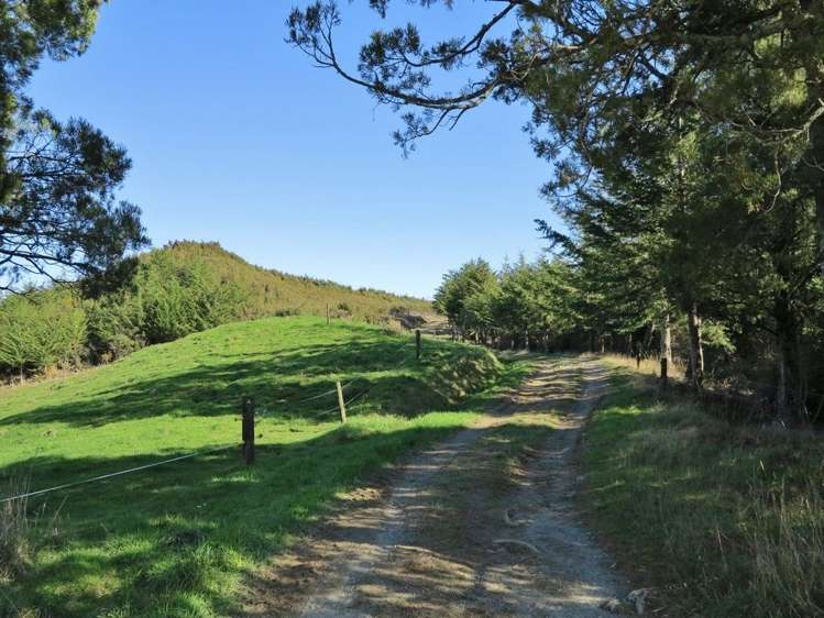444 Aorere Valley Road Kahurangi National Park_17