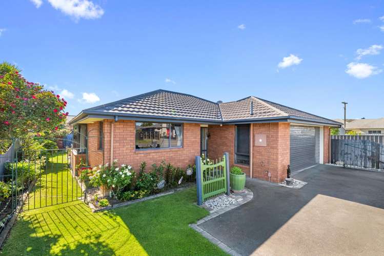 31A Lee Street Blenheim_12
