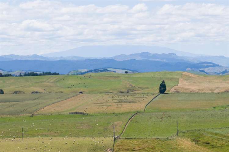 189 Griffins Road Marton_37