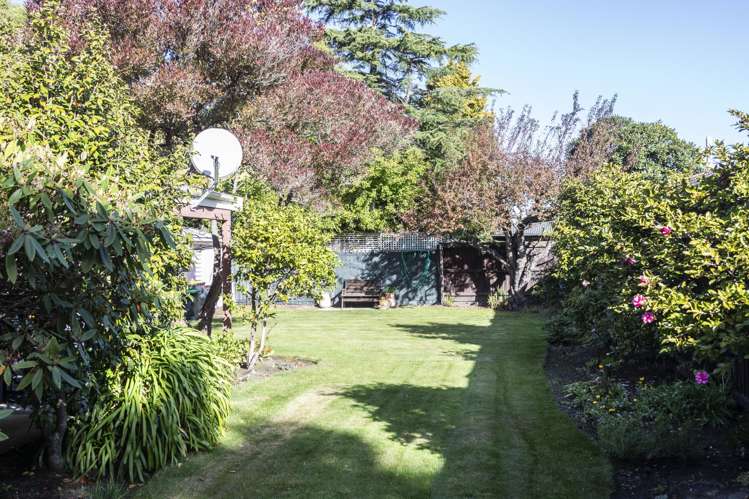 76 Solomon Avenue Redwood_1