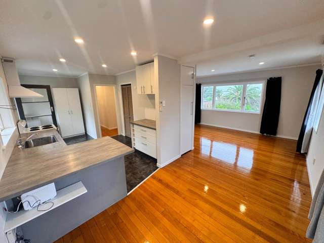 Leith Street Morningside_2