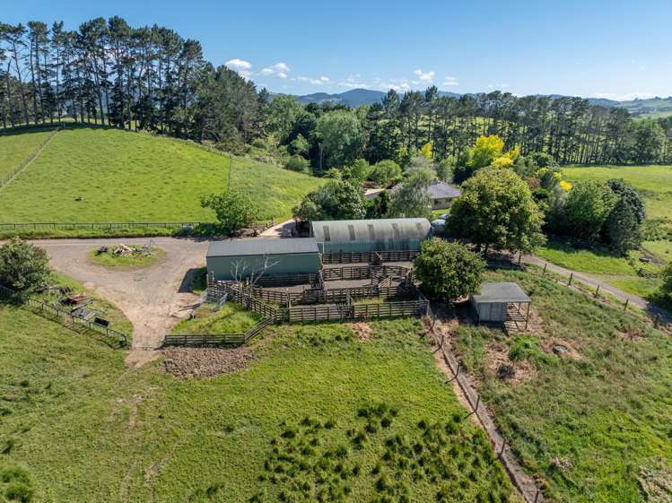 774 Koheroa Road Mercer_6