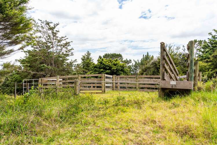 827 Tinopai Road Tinopai_27