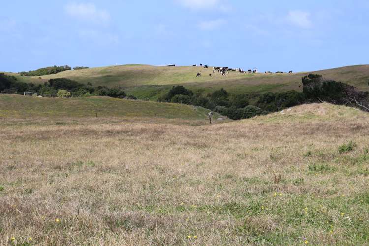 3979 South Road Opunake_9