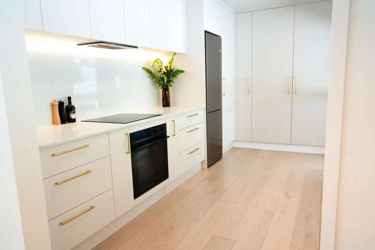 54 Huff Street Queenstown_13