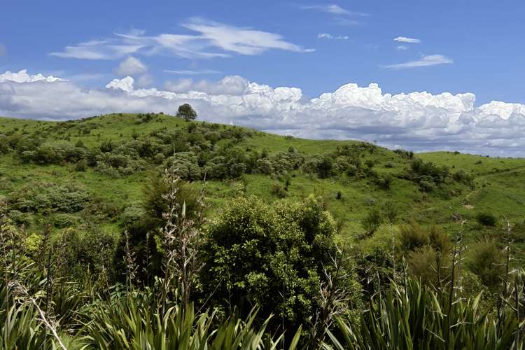 142 Ballintoy Park Drive Welcome Bay_5