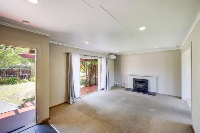 176 Guppy Road Taradale_3