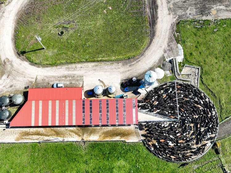 696 Jacks Hill Road Waimahaka_9
