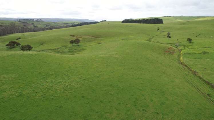 3902 State Highway 12 Dargaville Surrounds_2