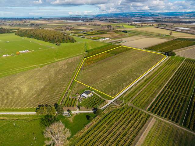 Prime Waihirere land with options