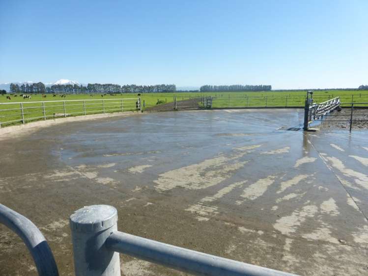 282 Braemar Lauriston Road Lauriston_12