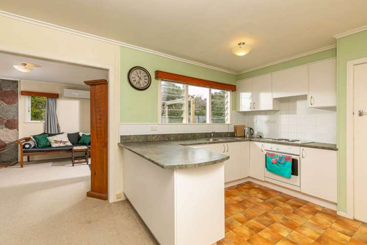 27 Tauhinu Road Greenhithe_12