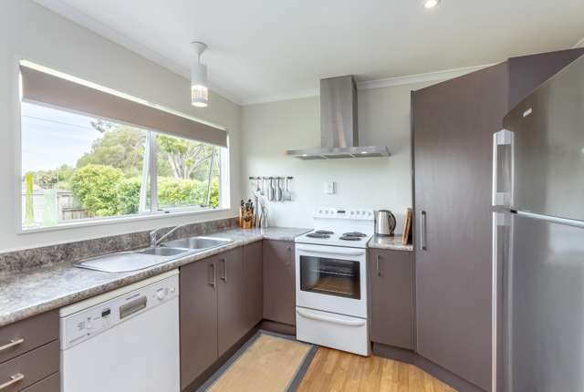 100 East Street Greytown_4