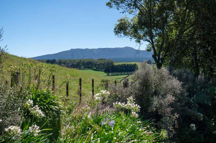 202 Ngamotu Road Rerewhakaaitu_30