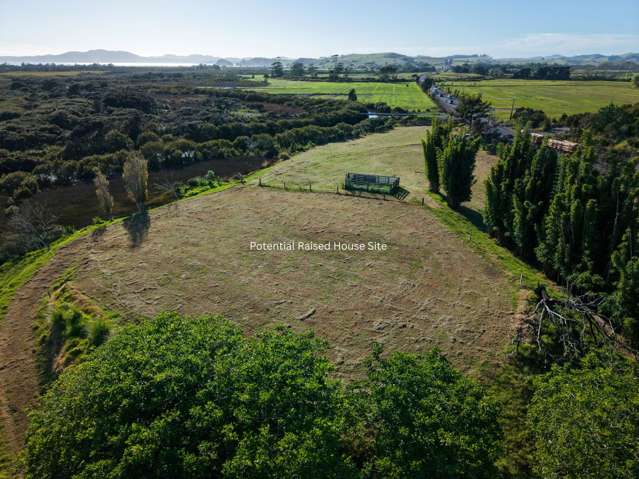 4560 State Highway 10 Lake Ohia_3