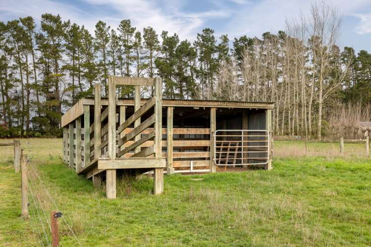 1465 South Eyre Road Swannanoa_20