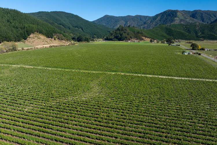 95 Speeds Road Koromiko_12