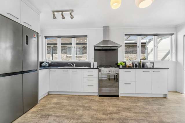 20 Ellis Avenue Mt Roskill_4