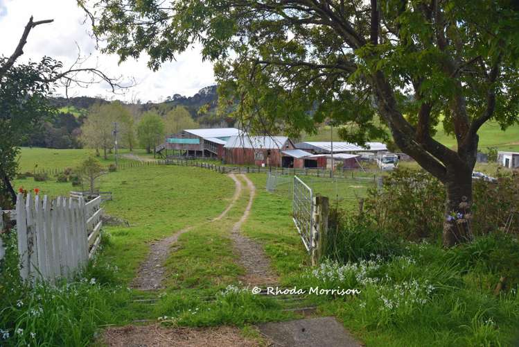 726 Paparoa Station Road Maungaturoto_10