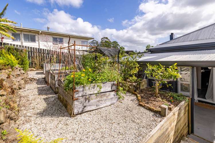 9 Commercial Street Kawakawa_20