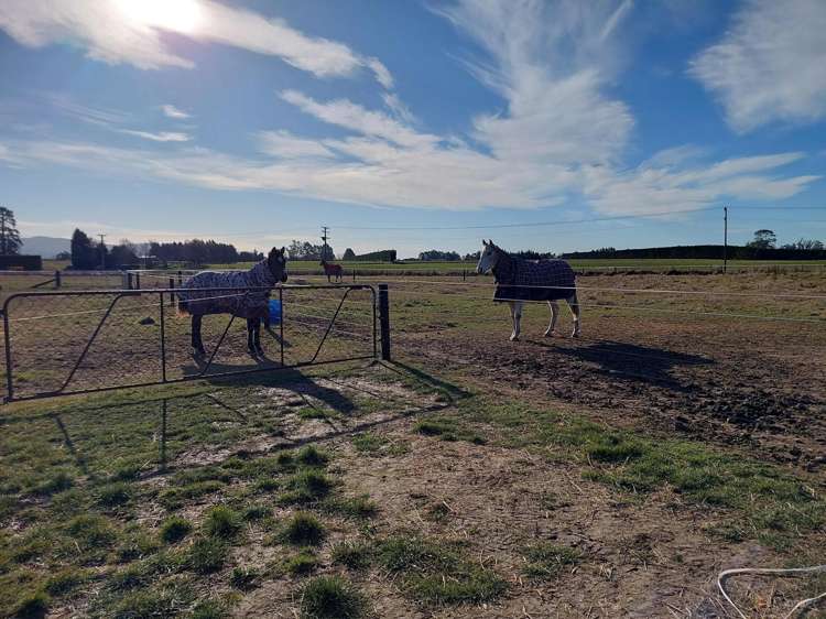 8 Minnie Street Waimate_16