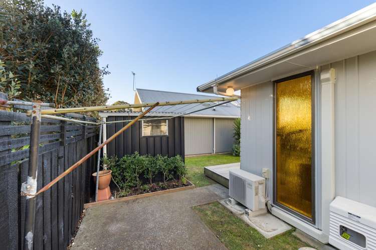 6B Hori Street Vogeltown_13