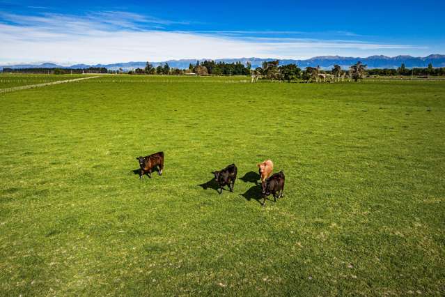 3637 State Highway 2 Takapau_4