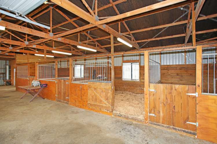 41 Brookside Road Glenbrook_17