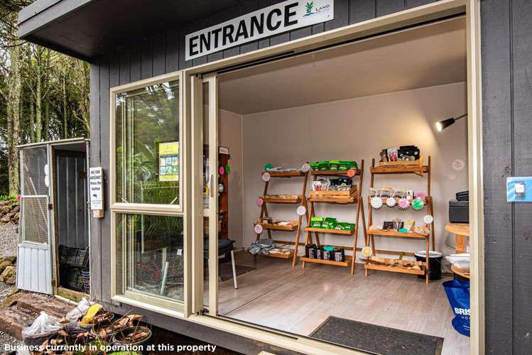 304 Mangakahia Road Maungatapere_32