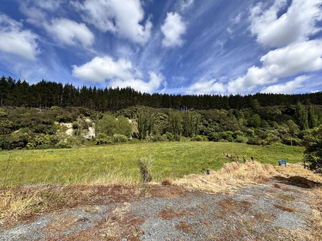 2902 State Highway 3 Awakino_3