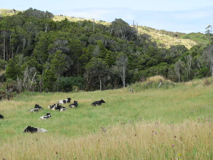 15 Bell Road Taumarunui_14