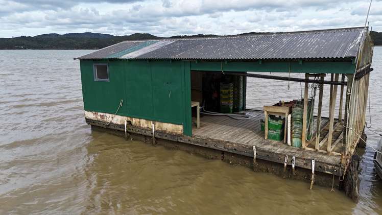 Waikare Inlet Opua_12