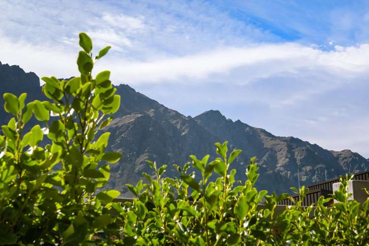 41 Ryan Loop Jacks Point_21