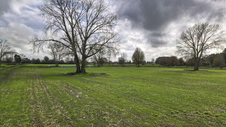 6552 Wilson Road Paeroa_4