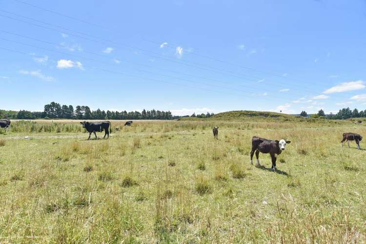 8 Helmore Street Rangiora_17