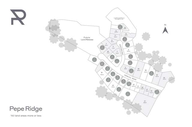 Pepe Ridge subdivison Tairua_4