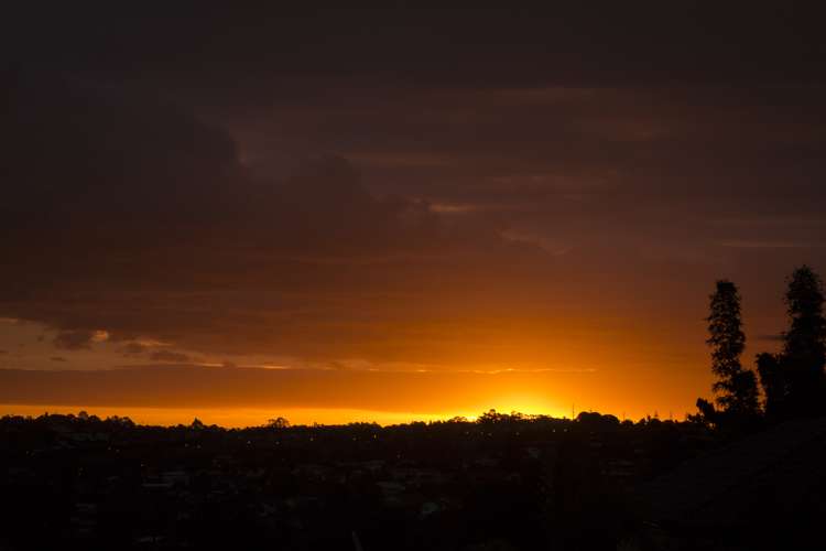 1/2c Sunnynook Road Sunnynook_31