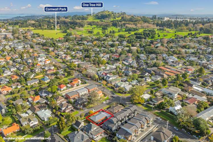 2 Ferguson Avenue Greenlane_12