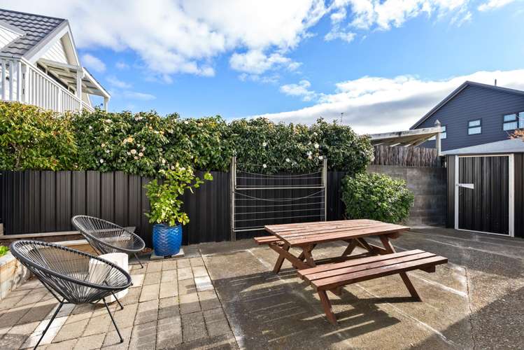 3/44 Devonshire Road Miramar_7