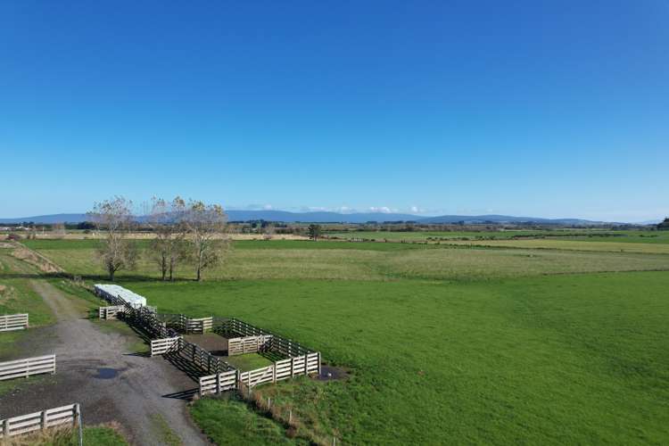 488 Thornbury Waimatuku Road_0