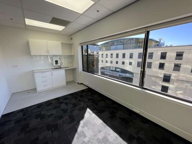 40 Mercer Street Wellington Central_4