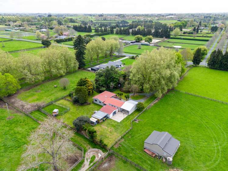 1212 Kaipaki Road Cambridge_29