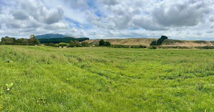 Lot Lot 1/226 Cramptons Bush Road Amberley_5