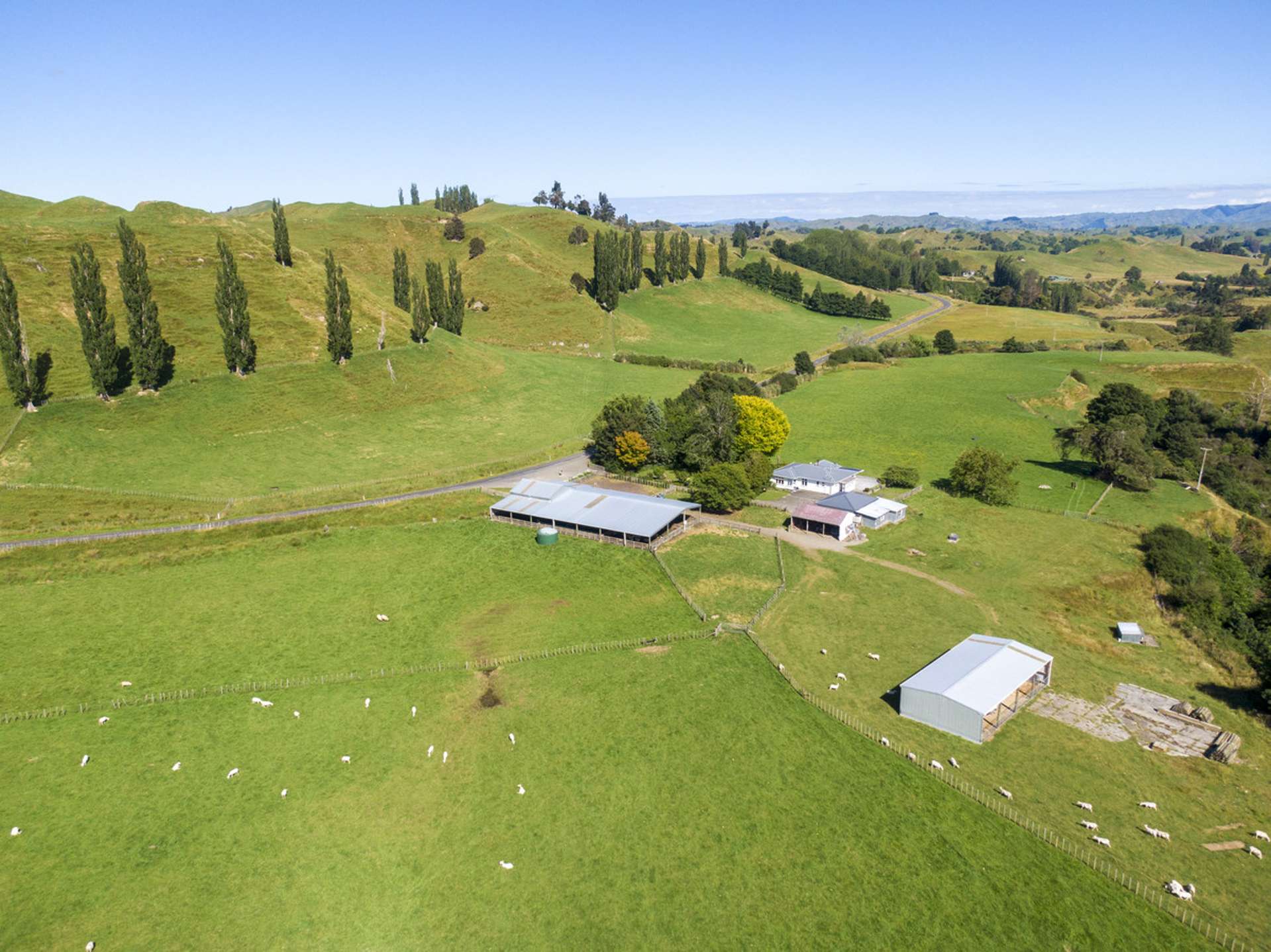 1573 Ruahine Road Rangiwahia_0