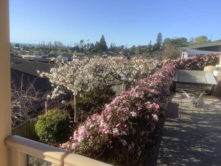 6 Norfolk Place Stoke_26